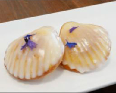 ���� ���� ���鷻 Lemon bloom madeleine
